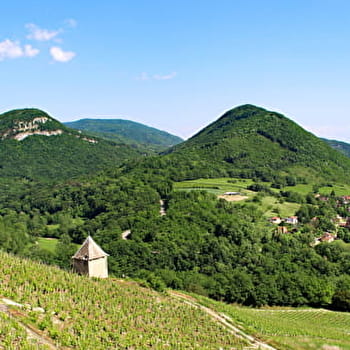 GR® de Pays - Tour du Pays de Lhuis et d'Izieu - SERRIERES-DE-BRIORD
