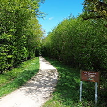 Sentier de la Vivelle - GUERFAND