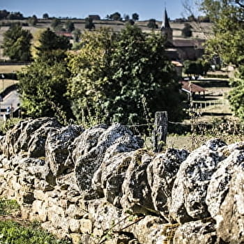 Balade du Chêne Bossu - SARRY