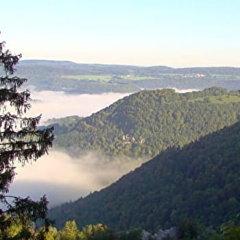 Les 2 combes - SAINT-JULIEN-LES-RUSSEY