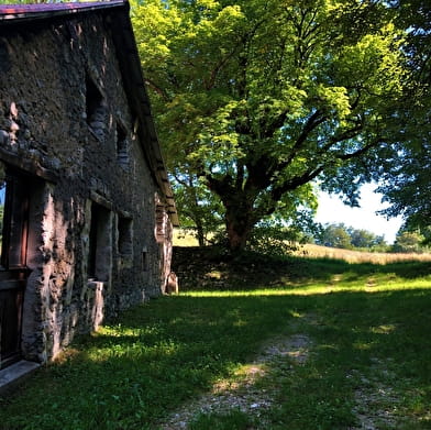 Circuit de Randonnée de Chanduraz depuis Charaillin (Chavornay - Arvière-en-Valromey)