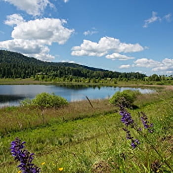 La Bique du Mont-Noir - 20N - FONCINE-LE-HAUT