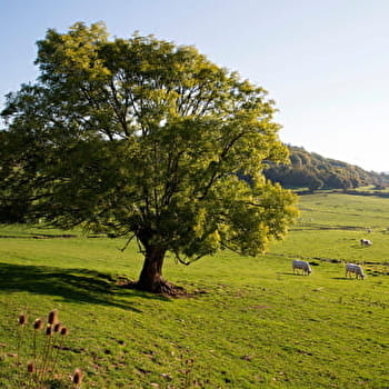 Du lavoir de Jaugey et four à bois de Grenant - BARBIREY-SUR-OUCHE
