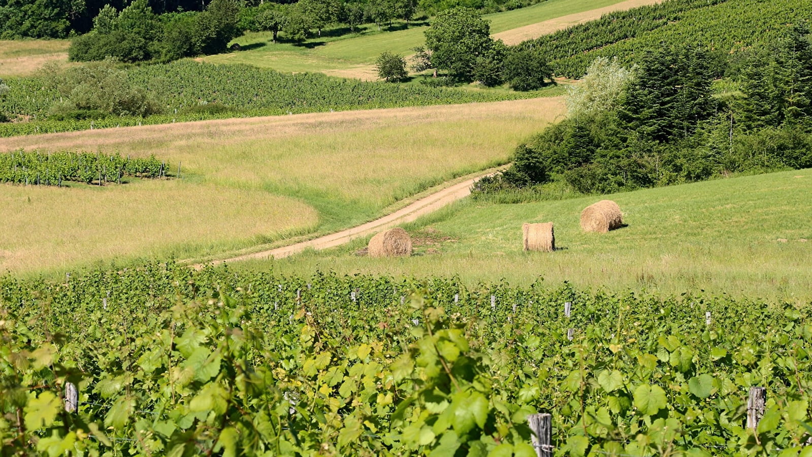 La Boucle de Montorient