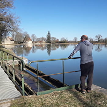 Randonnée à Avril-sur-Loire / Boucle de Forge Neuve - AVRIL-SUR-LOIRE