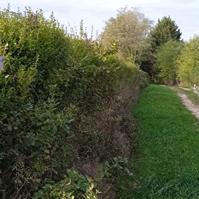 Circuit randonnée : de la Pérouse