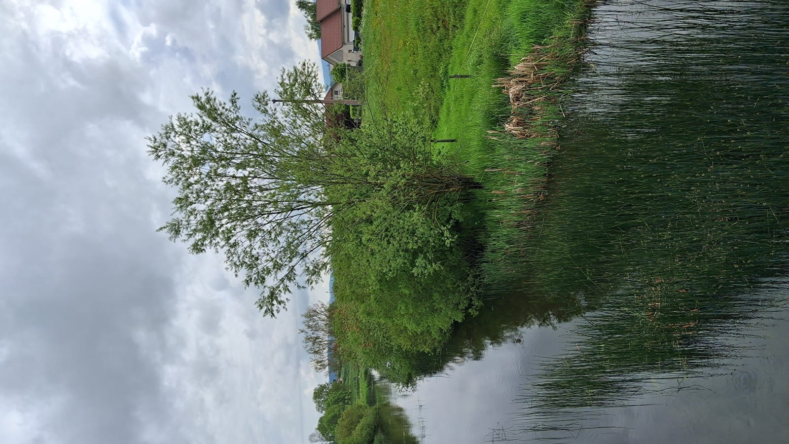 La Côte du Fol - n°106