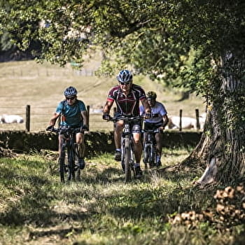 Outre-Loire - MARCIGNY