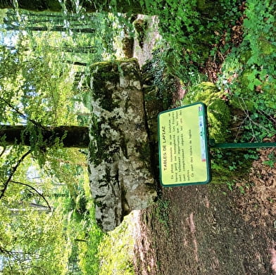 Sentier Karstique du Grand Bois