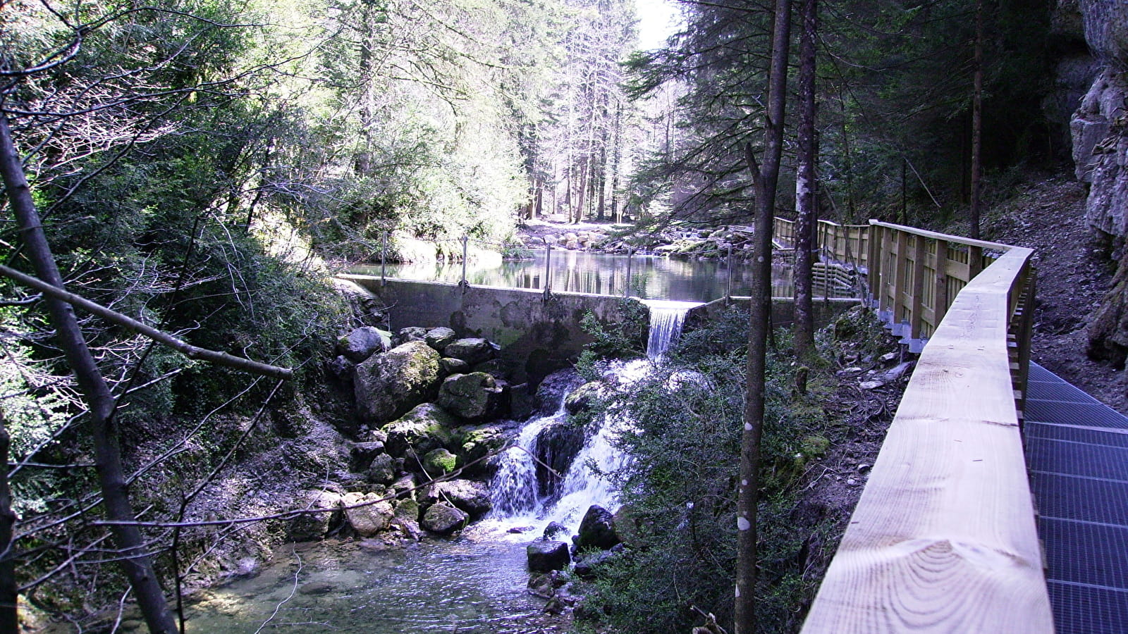 Dans la forêt, coule la Sarsouille - Parcours marche nordique n°1