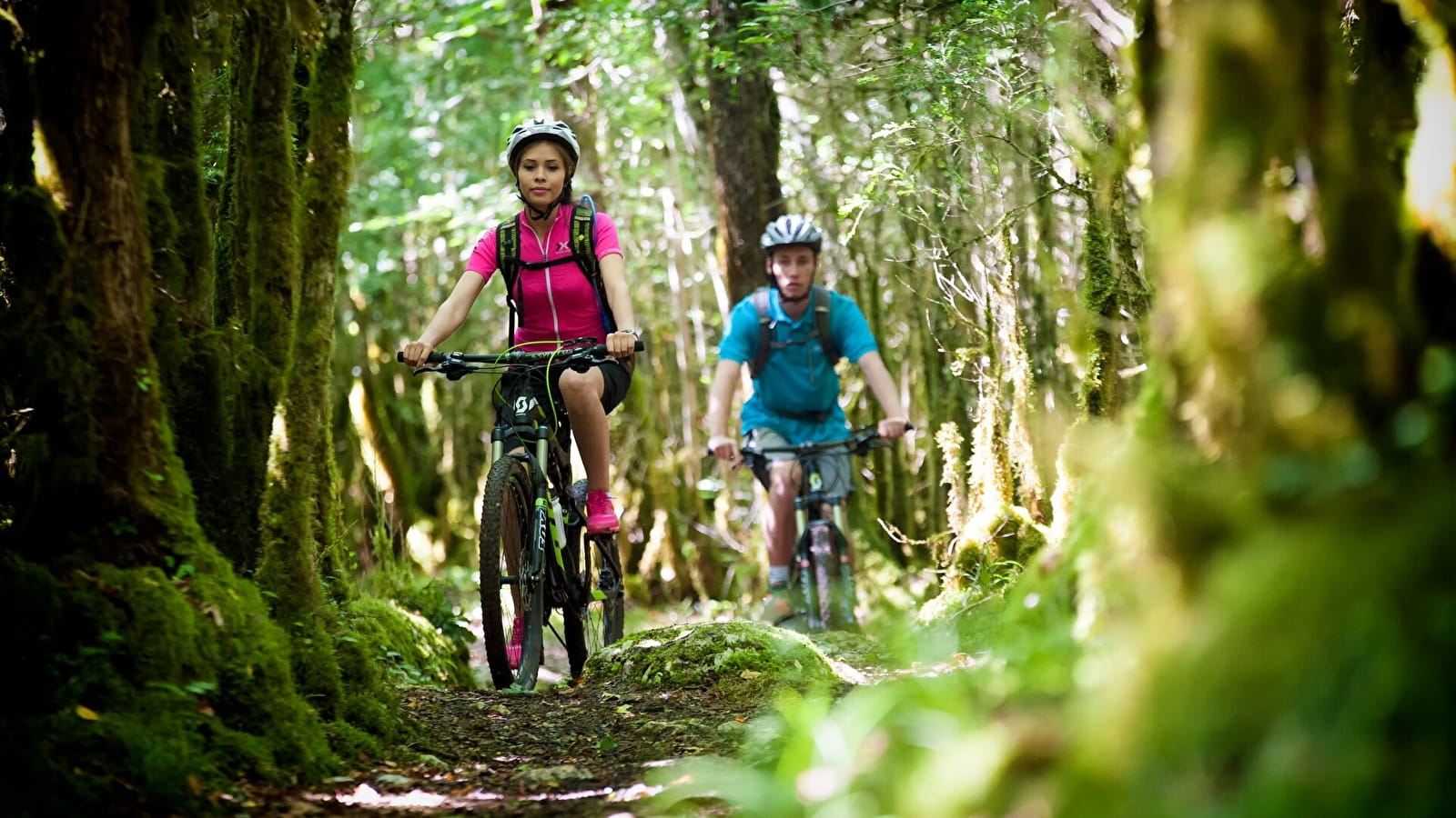 Tour de la Grande Forêt - 110R