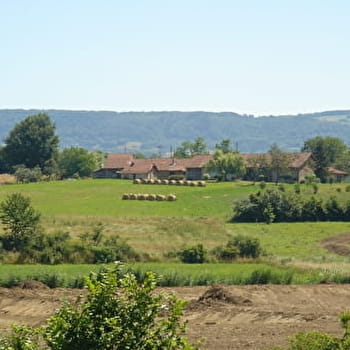 Balade au pied du Revermont - LOUHANS