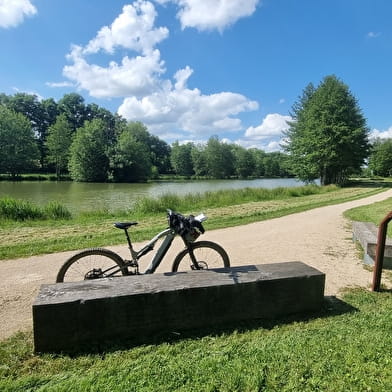 Liaison VTT-VTC (L6) St Trivier de Courtes - Plan d'eau de Mépillat