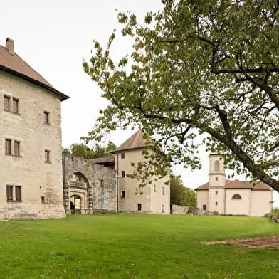Randonnée VTT - Descente VTT de Clermont en Genevois