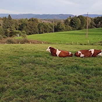 Le Pré d'Oro (circuit bis) - AMAGE