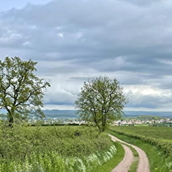 À travers les bocages - SAINT-LAURENT-D'ANDENAY