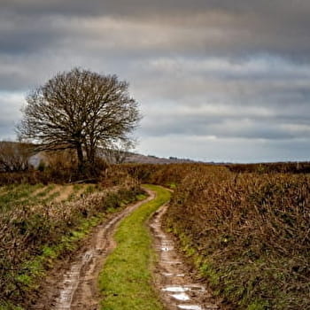 Circuit de randonnée : Chemin du Tacot - ALLIGNY-EN-MORVAN