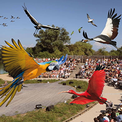 Circuit l'Ain à vélo - De Villars-les-Dombes à Trévoux
