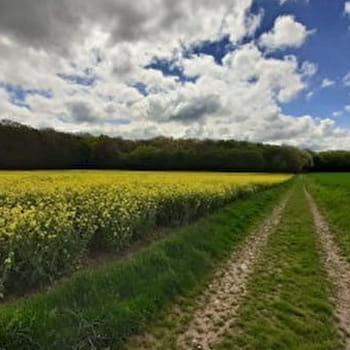 Circuit du Prieuré - CORVOL-L'ORGUEILLEUX