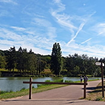 Le tour des étangs du Zébulleparc - CHEVENON