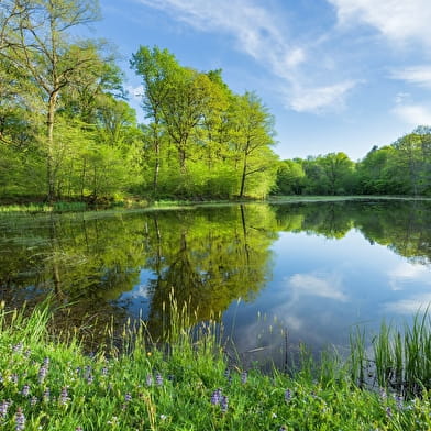 Les Maisons Bressanes