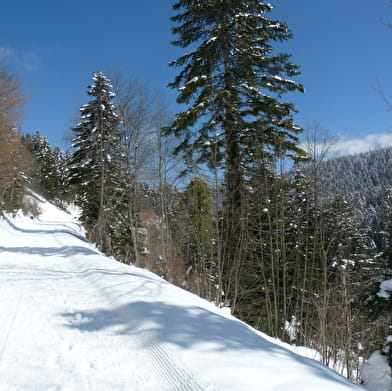 La ferme Guichard depuis la Praille - Circuit raquettes