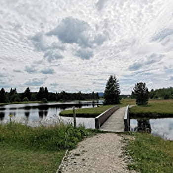 Les Belles Seignes - n°51 A - NOEL-CERNEUX