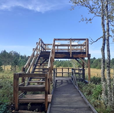 Tourbières de Frasne-Bouverans (Grande boucle - départ Chalet d'accueil)