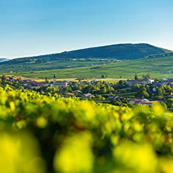 Les secrets du Roman - IGE