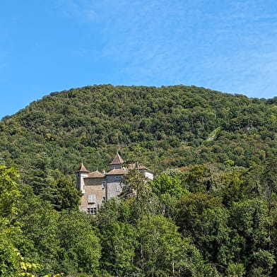 Parcours VTT 72 Rouge - Des Gorges de l'Oignin aux Gorges de l'Ain - Espace FFC Ain Forestière