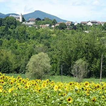 Parcours VTT 3 bleu - Bognens - Les Baraques - Espace FFC Ain Forestière - BELLEY