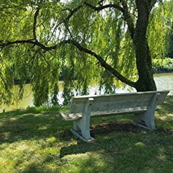 Circuit Gravel n°20 (rouge) Les Hauts de Servignat - Coq de Mantenay - SAINT-TRIVIER-DE-COURTES