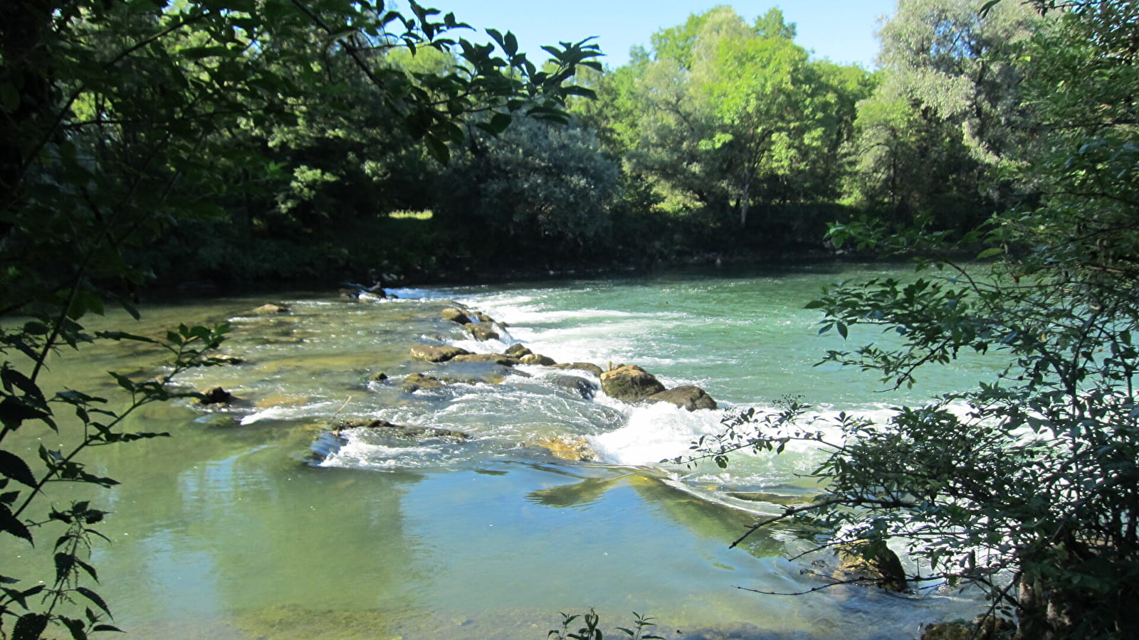Zone humide de Chissey-sur-Loue