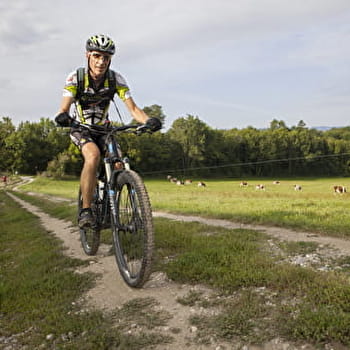 Parcours VTT rouge N°41 - Boucle du Grand Colombier - Espace FFC Ain Forestière - CORBONOD