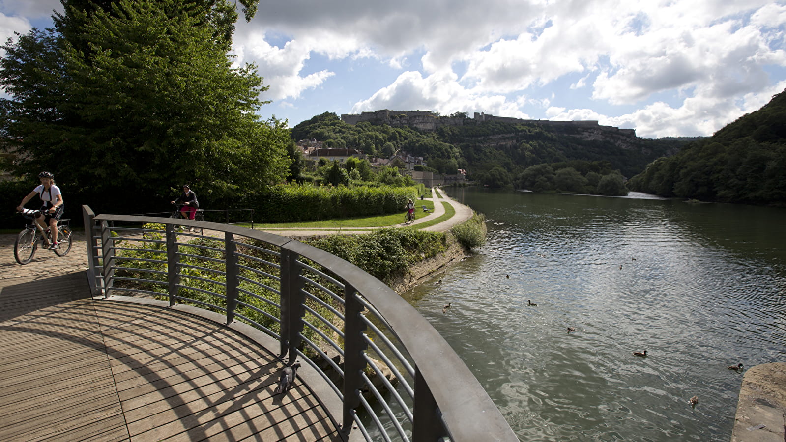 La Biodiversité au fil de la Via Francigena