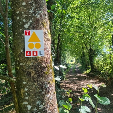 Circuit Gravel n°6 (rouge) Chemins des bois de Bresse