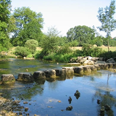 Menhir de Pierre et gués du Suran