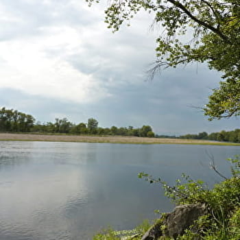 Grande Boucle Loire / Cercy - Charrin - La Nocle-Maulaix - Fours - CERCY-LA-TOUR