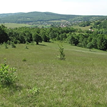 La Boucherette - LUGNY