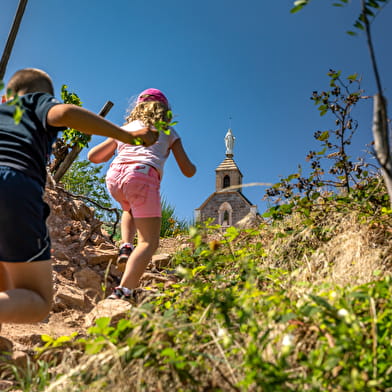 Circuit Entre vignes et bois