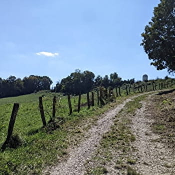 Sentier Courbet 3 : Sur les pas du peintre paysan - FLAGEY