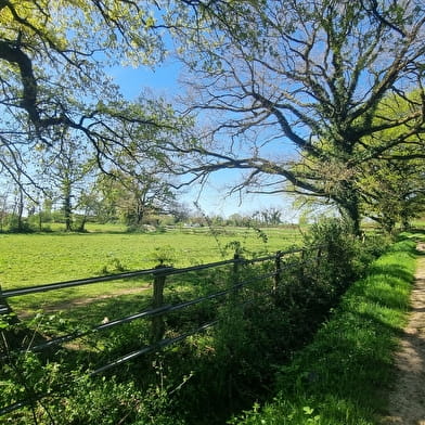 Liaison VTT-VTC (L3) Mantenay Montlin - Ferme de la Forêt
