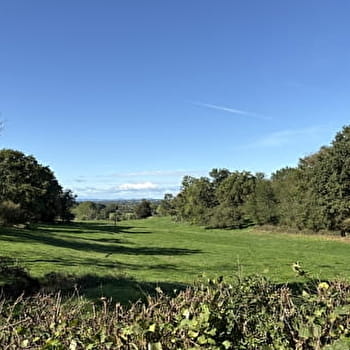 Balade Verte - Balade entre prairie, forêt et rivière (VSG 2) - VARENNE-SAINT-GERMAIN