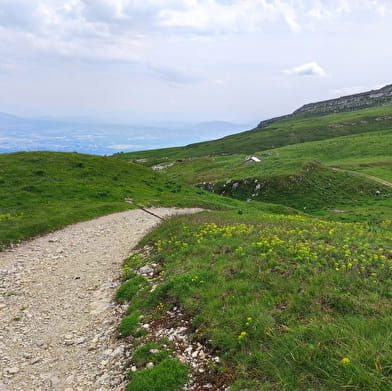 Randonnée pédestre : Crozet au Crêt de la Neige par la Calame