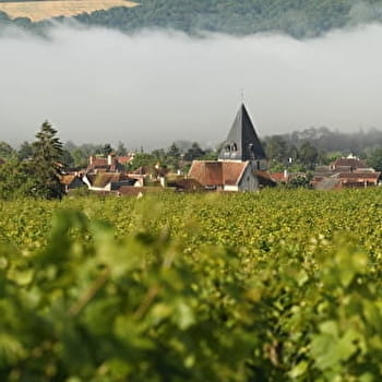 Le balcon du Tonnerrois - EPINEUIL