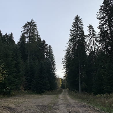 Randonnée - Les crêtes de la Clye