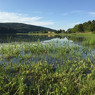 Parcours VTT 72 Rouge - Des Gorges de l'Oignin aux Gorges de l'Ain - Espace FFC Ain Forestière