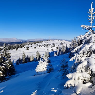 Sentier raquettes Les Montronds