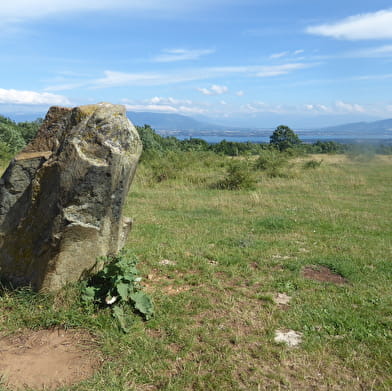 Randonnée pédestre : Grilly - le Mont Mourex