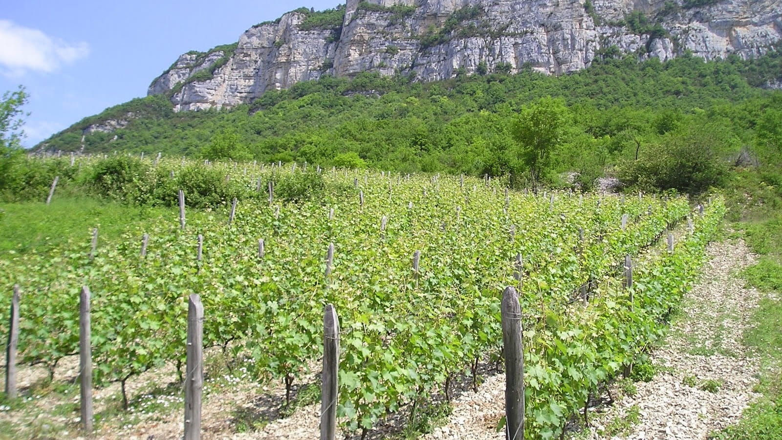 Les Grangeons de l'Albarine